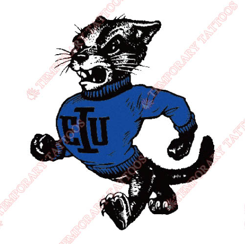 Eastern Illinois Panthers Customize Temporary Tattoos Stickers NO.4317